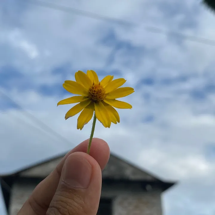 @momenta__