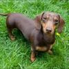 snicklezzz