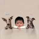@___yun0497