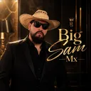 @bigsam.mx