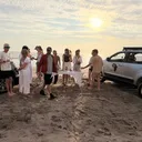 @sandwichharbour
