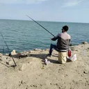 @ulik_884