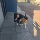 @zi235zi