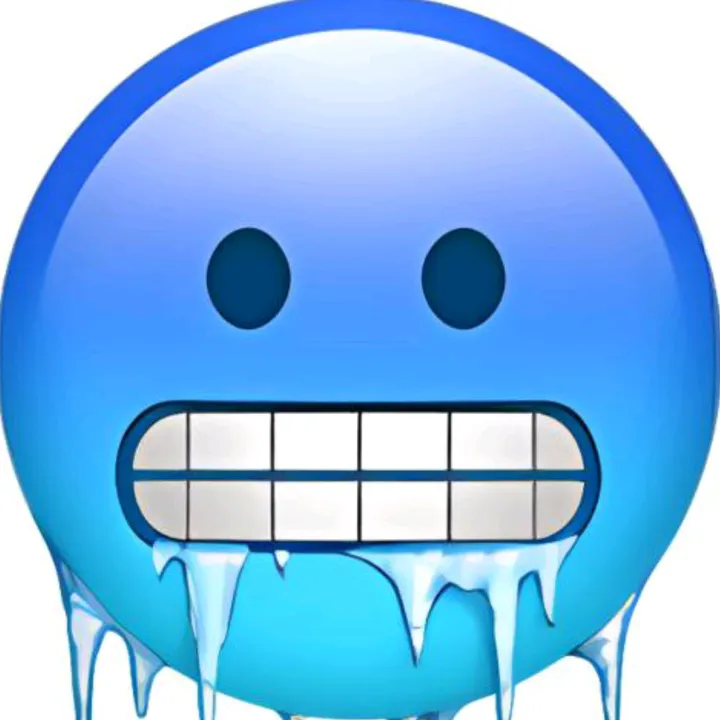 fifaice