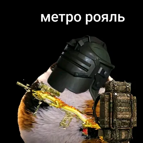 arenabrekayt67