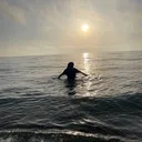 @floxs666