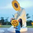 @ann.sekar