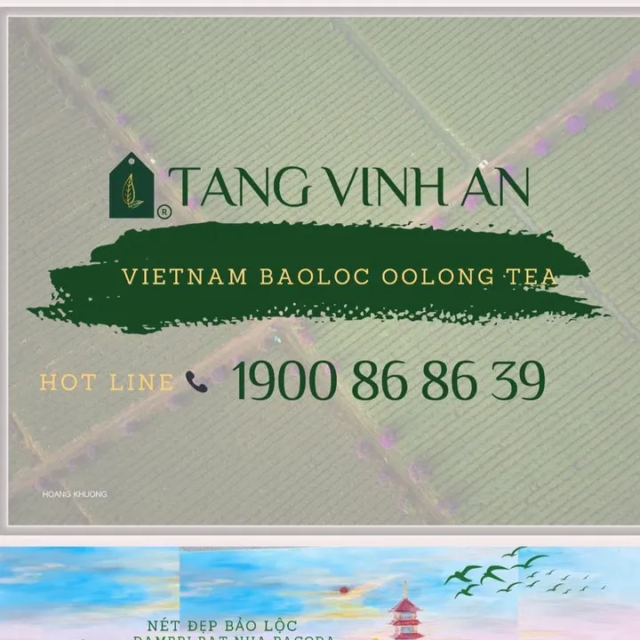 vinhanoolongtea
