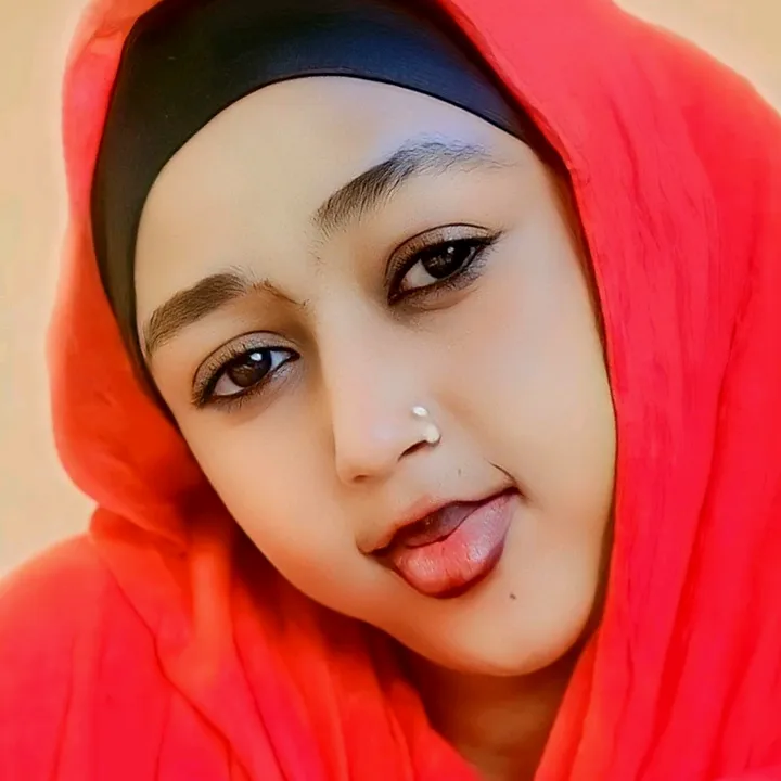 @xalol.inkitto