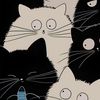 aquacapleo