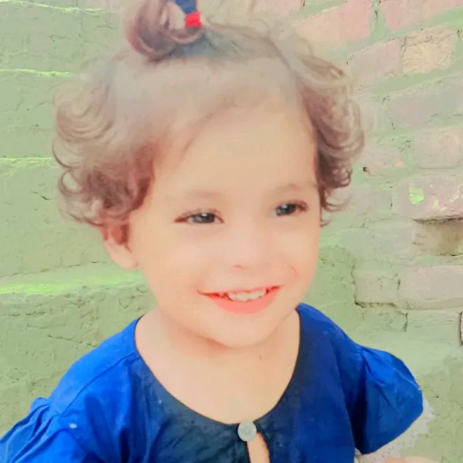 @javedrajput6120