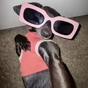 @paux_1721