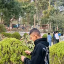 @dimplyboy180