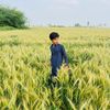 hussnainsaqib.119