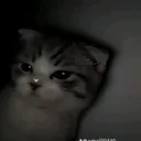 @jharu414