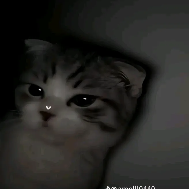 @jharu414