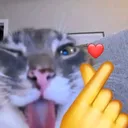 @phk_19k