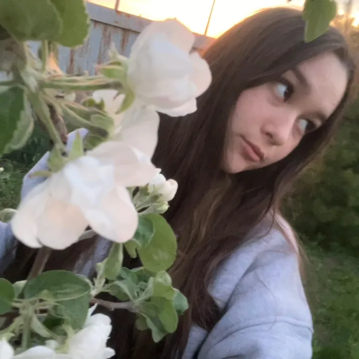@vigroska