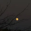 @fatma_y663