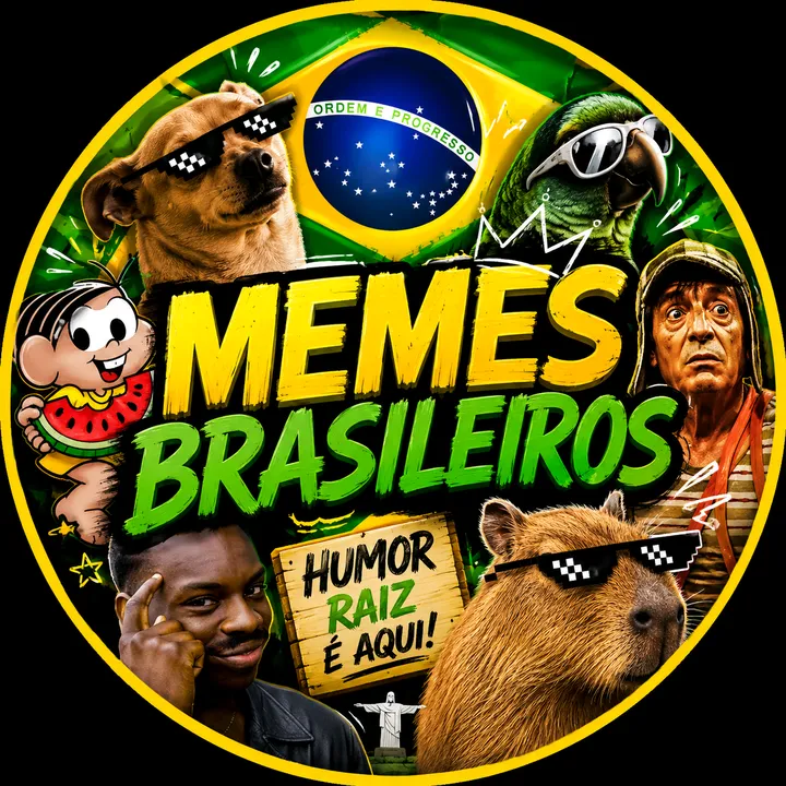 @memesbrasileiros324
