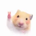 @hopecan0524