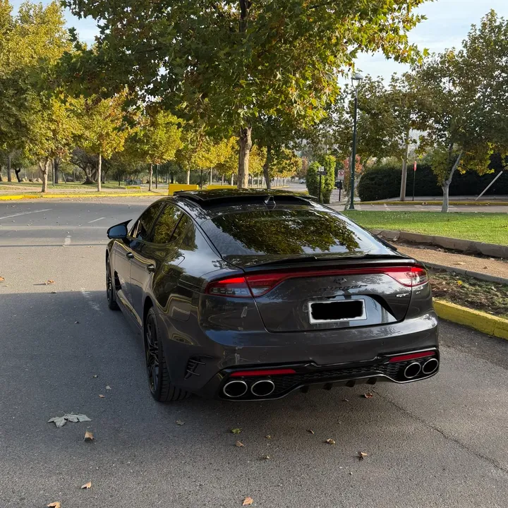 stingerpanther