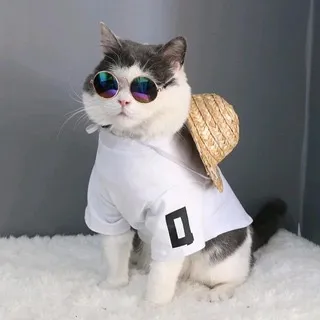 @drg_bachira
