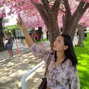 @pangwanida53