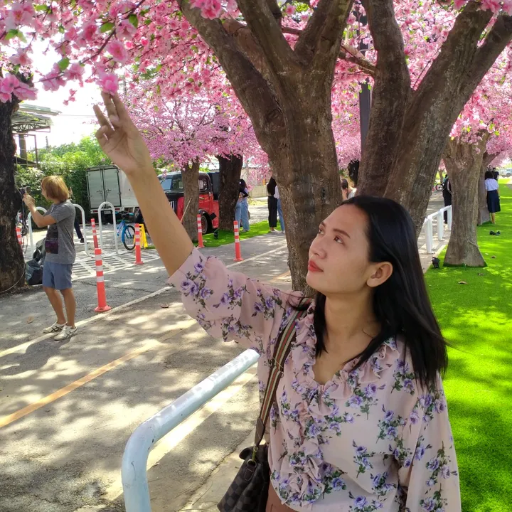 @pangwanida53