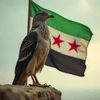 duygu_fdik