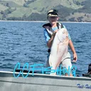 @ccfishing01