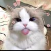 mutiiiii43