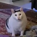 @memekah_