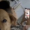 yimuxi5
