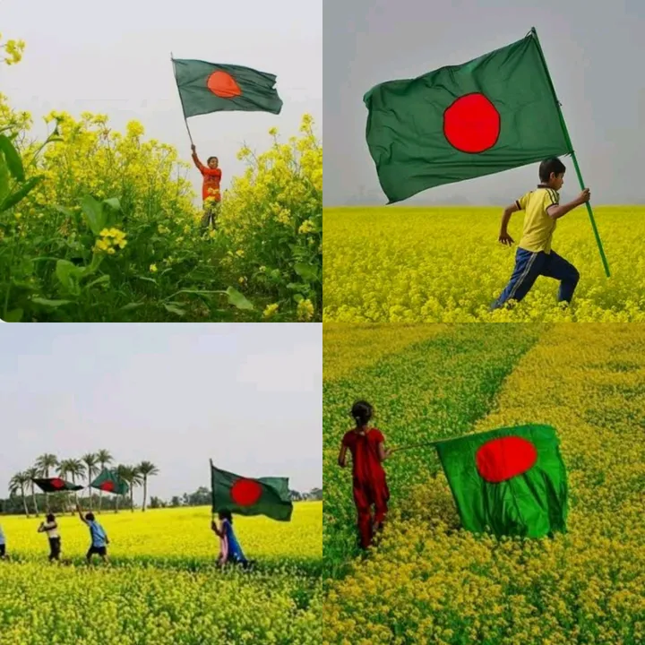 @saifulislamrakin7