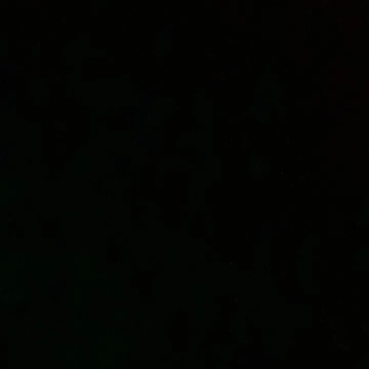 _tahliaarosee