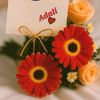 adali.888