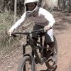 curtisondamerdia