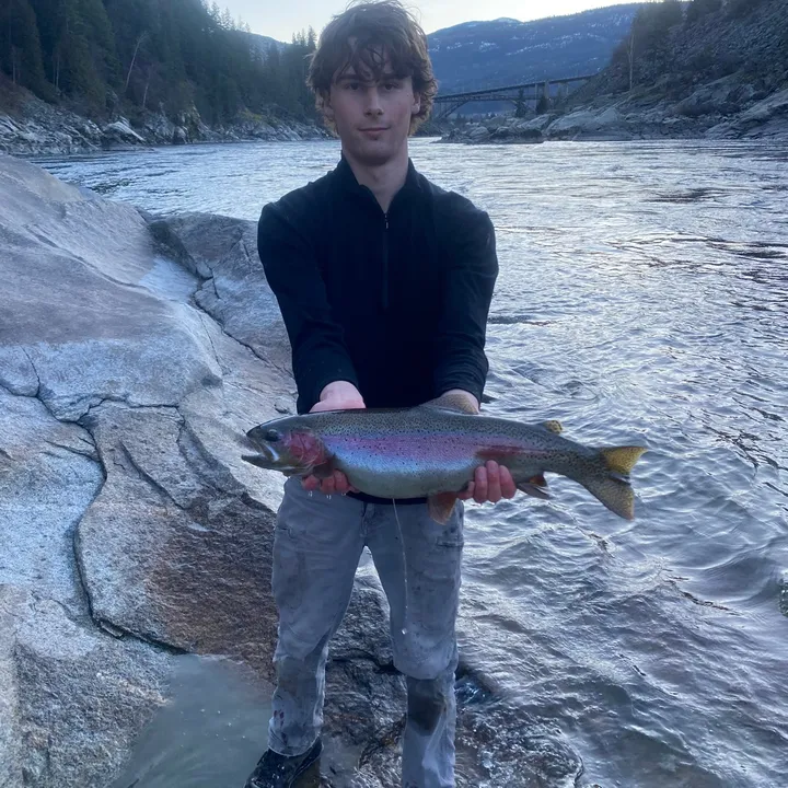 @jackekholm