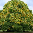 @user795100606