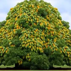 @user795100606