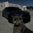 @all.clipper01