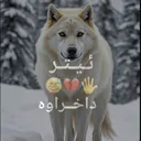 @ayub_lak