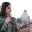 @haaaya.m
