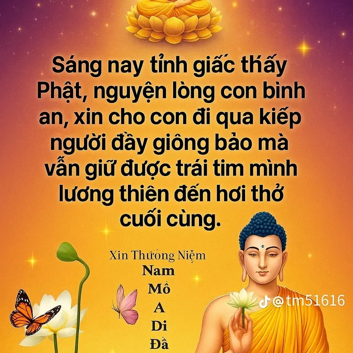 khng.c.tn698