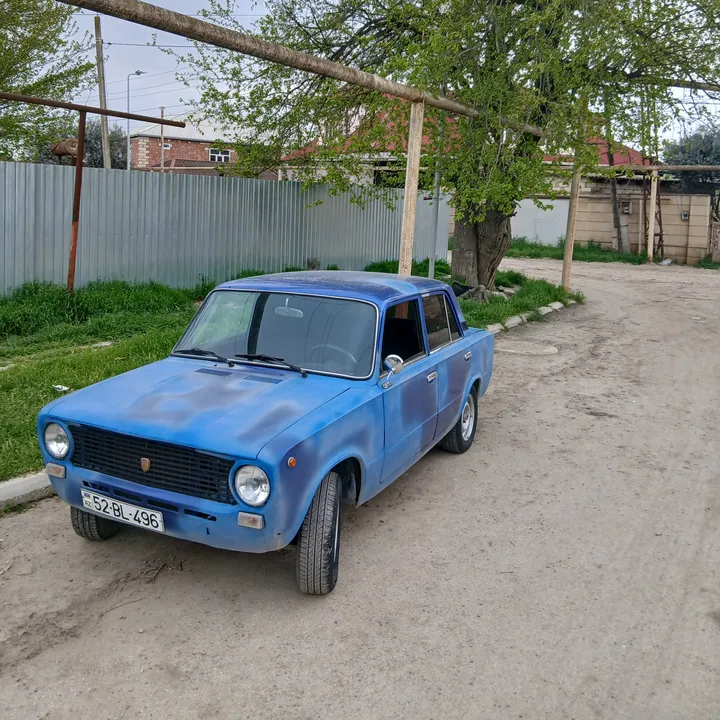 @memmedov4966