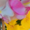 aparna0979