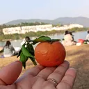 @la_labee