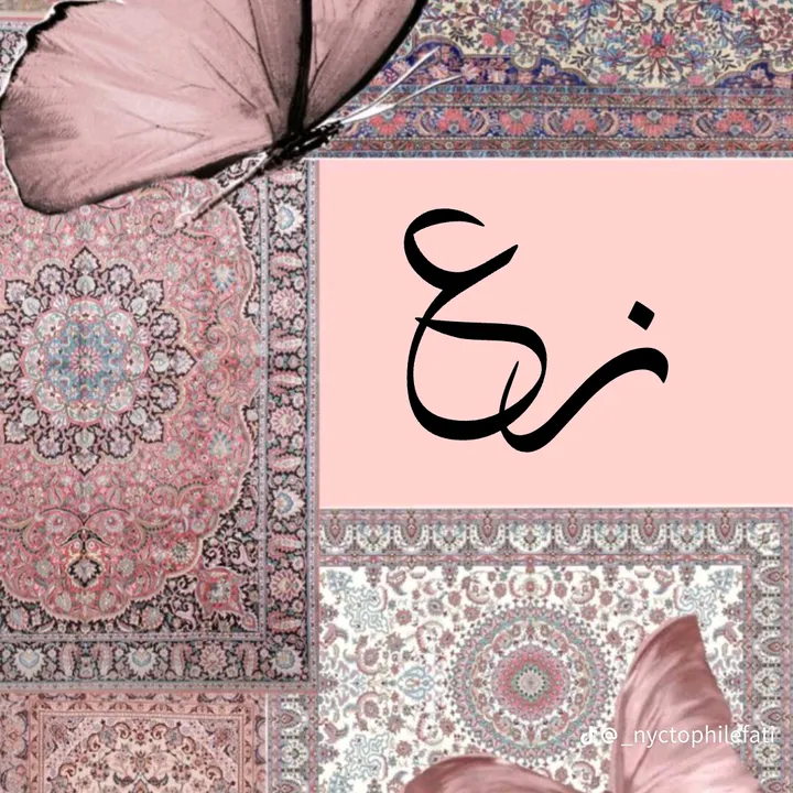 @zarqa515