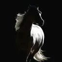 @a_s_m_a_r50
